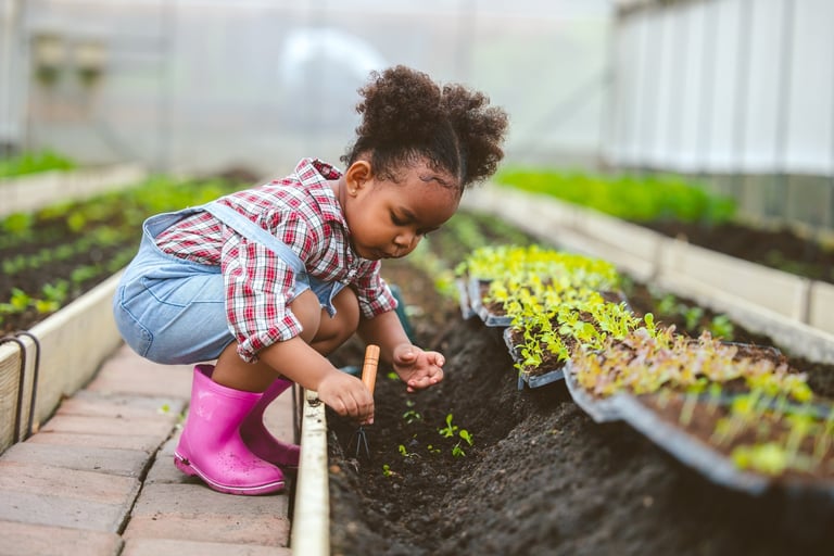 Child planting tree