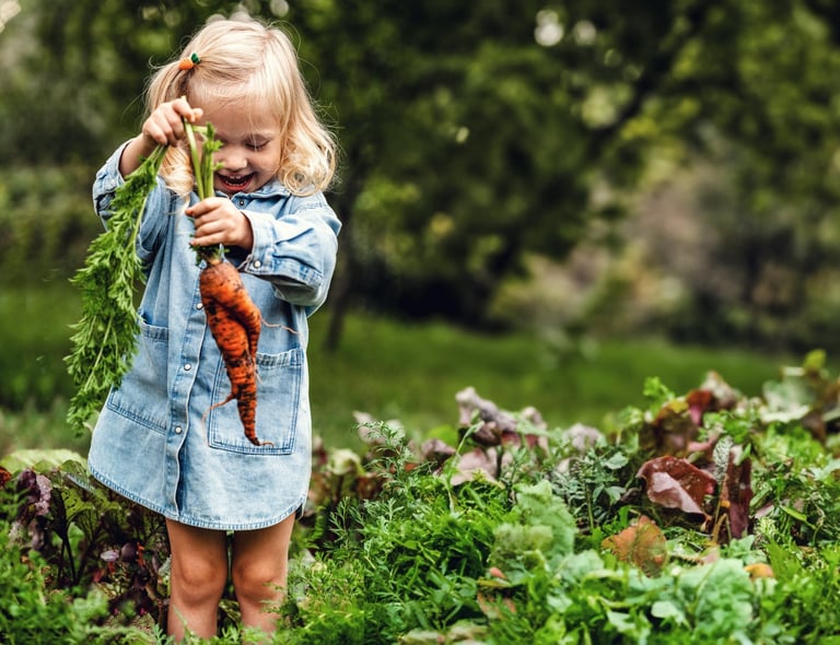 Child holding carrots from the garden