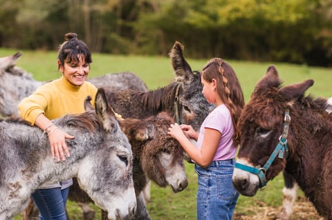 A woman and a girl are petting donkeys in an animal sanctuary