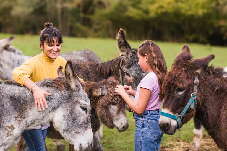 A woman and a girl petting donkeys at a farm animal sanctuary, promoting environmental education