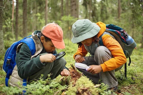 Two children crouching in forest examining moss and insects on fallen log using magnifying glasses