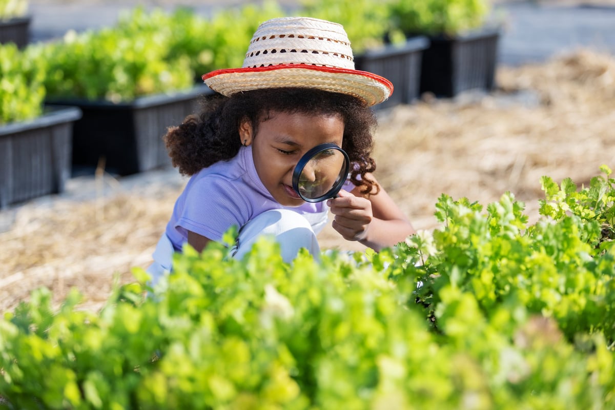 Curious child using a magnifying glass to observe green plants in an organic garden.