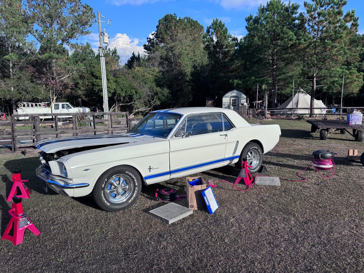 Cream and blue 1960s Mustang on jack stands at outdoor car show with pink decorative elements and trees in background