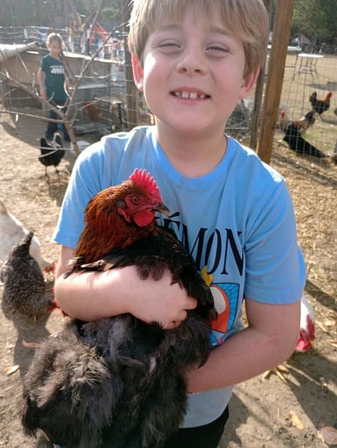 Young boy in blue shirt smiling while holding a red and black rooster at a farm or petting area